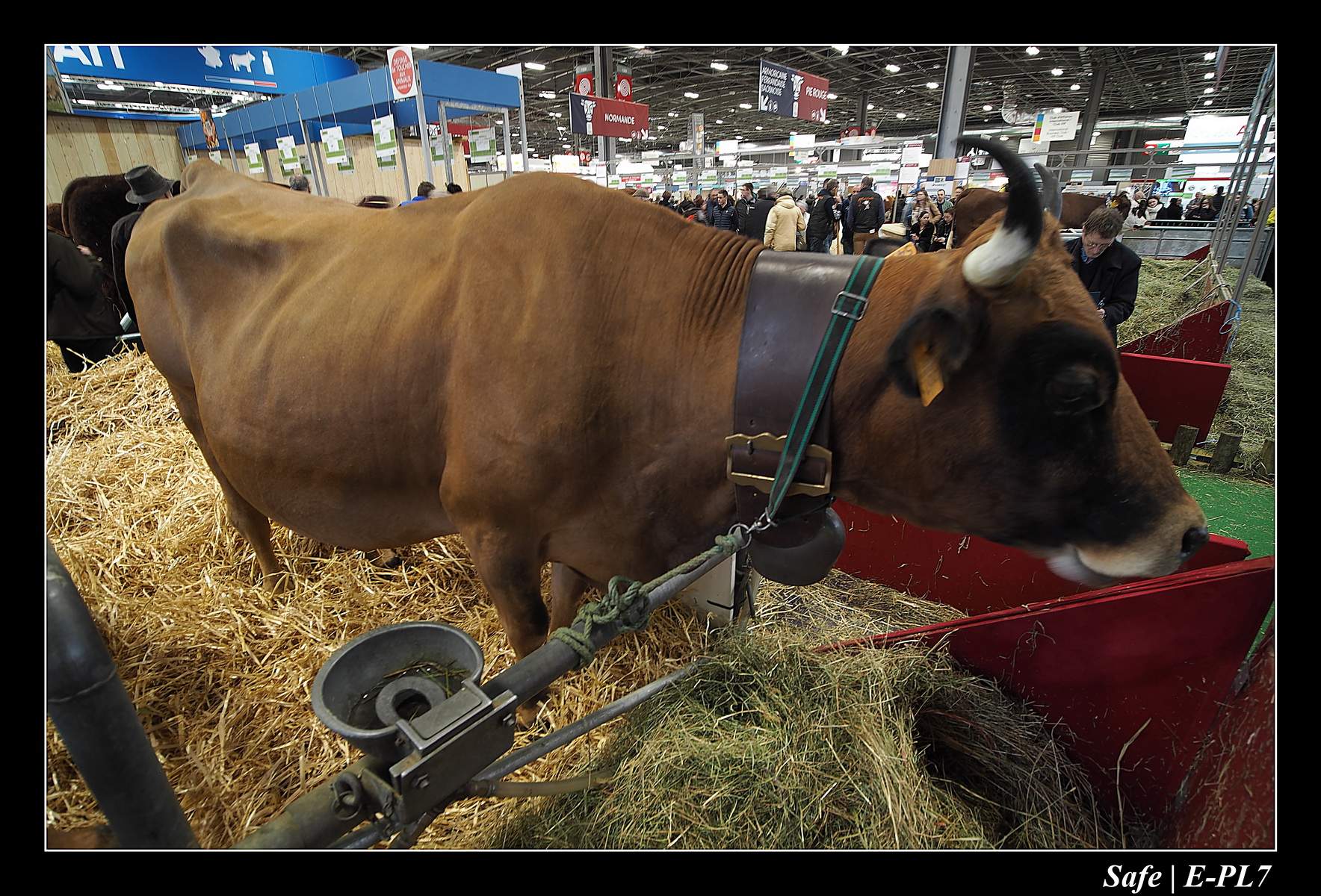 2020 - 02 - Salon agriculture 59